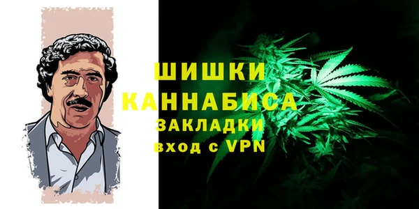 ПСИЛОЦИБИНОВЫЕ ГРИБЫ Баксан