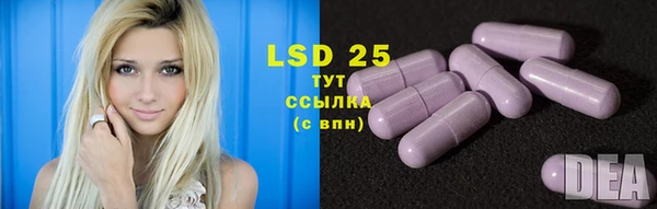 spice Елабуга