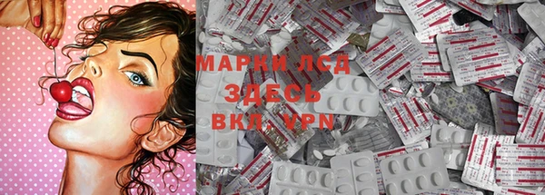 ПСИЛОЦИБИНОВЫЕ ГРИБЫ Баксан