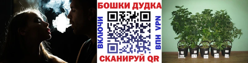 МАРИХУАНА конопля  Городище 